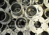 Customized Precision Casting  304  316L Stainless Steel Pipe Flanges Welded DIN2545
