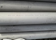 Cold Rolled Hot Rolled Seamless Stainless Steel Tubing / Seamless Welded Pipe