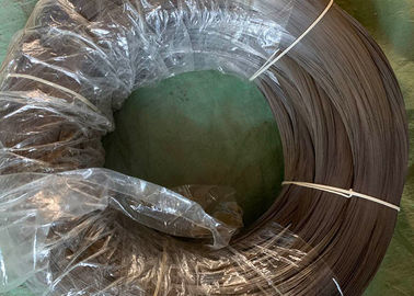 Good price ISO / BV Galvanized Coating Spring Wire Coil High Carbon For Park Fence online